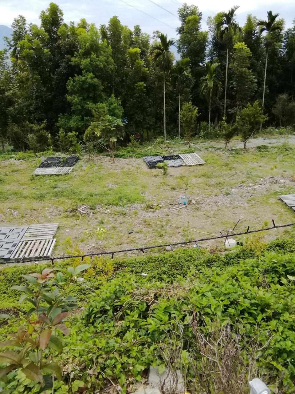 台東民宿 關山桃花心木民宿農場 Guanshan Exterior foto